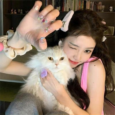 好莱坞