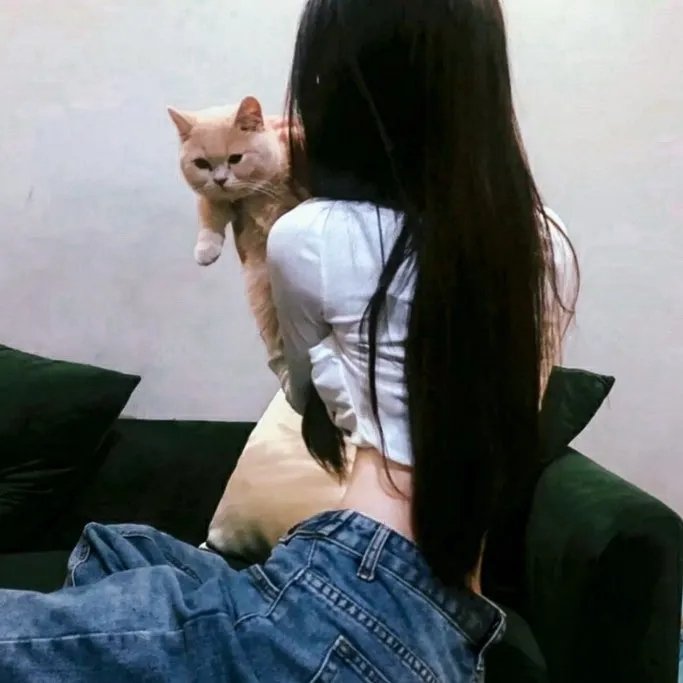 爱情剧情
